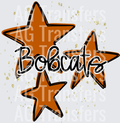 Bobcats(40)