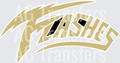 Johnsonville Flashes 16