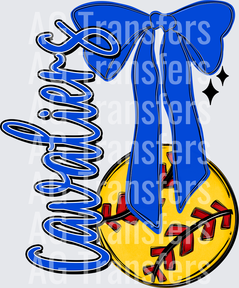 CAVALIERS(13)