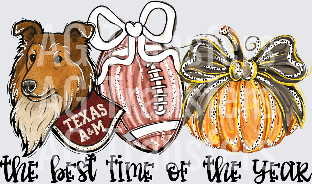 Texas a m