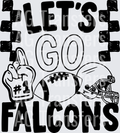 Lets go Falcons