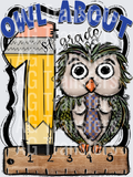 Owl About BLUE FIRST GRADE