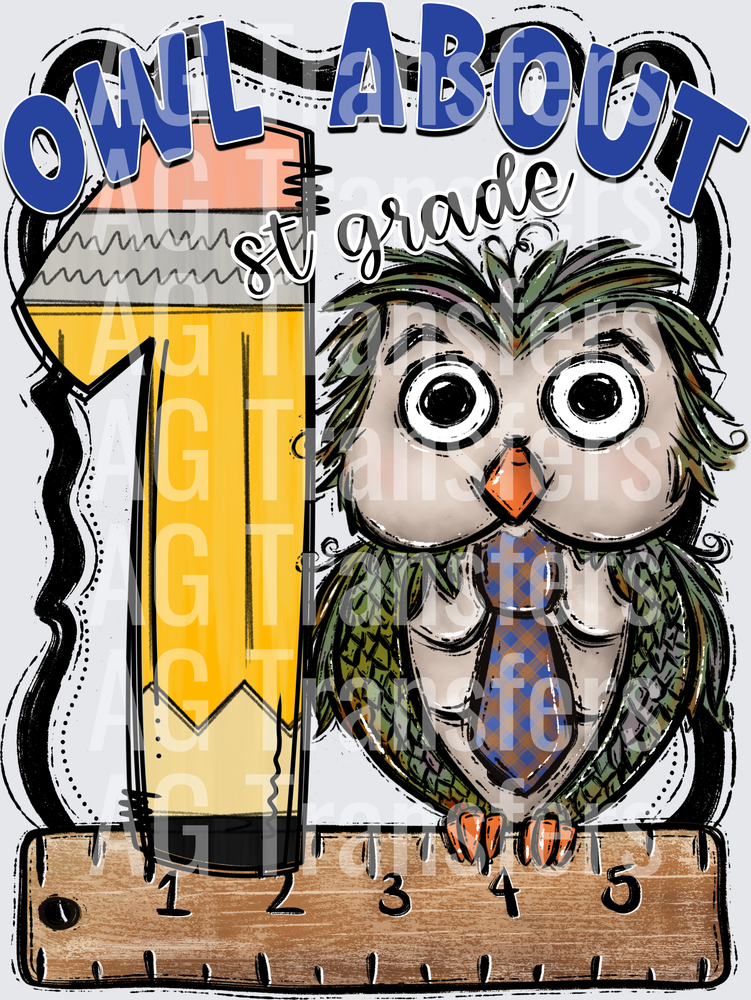 Owl About BLUE FIRST GRADE