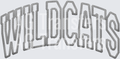 Wildcats white Stitch