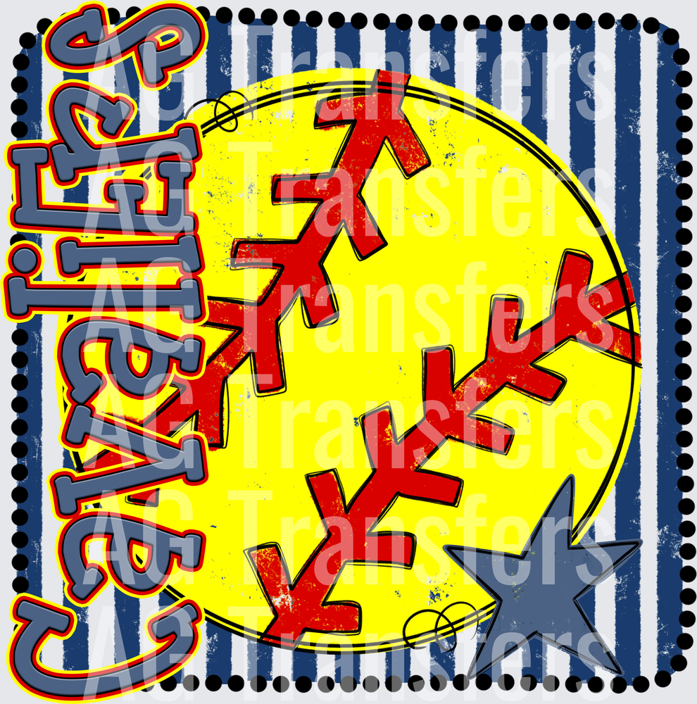 CAVALIERS(22)