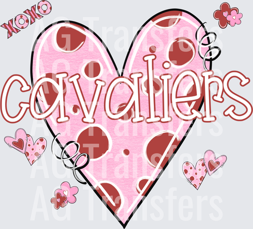 CAVALIERS(28)