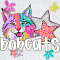 BOBCATS(128)