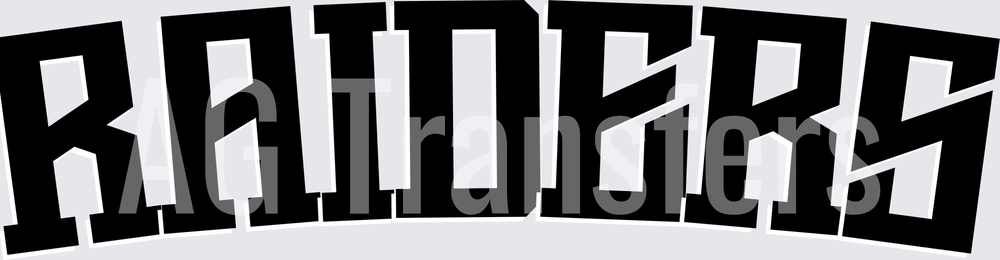 RAIDERS(63)