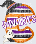 Cavaliers(13)