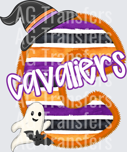 Cavaliers(13)