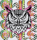 Owls(55)