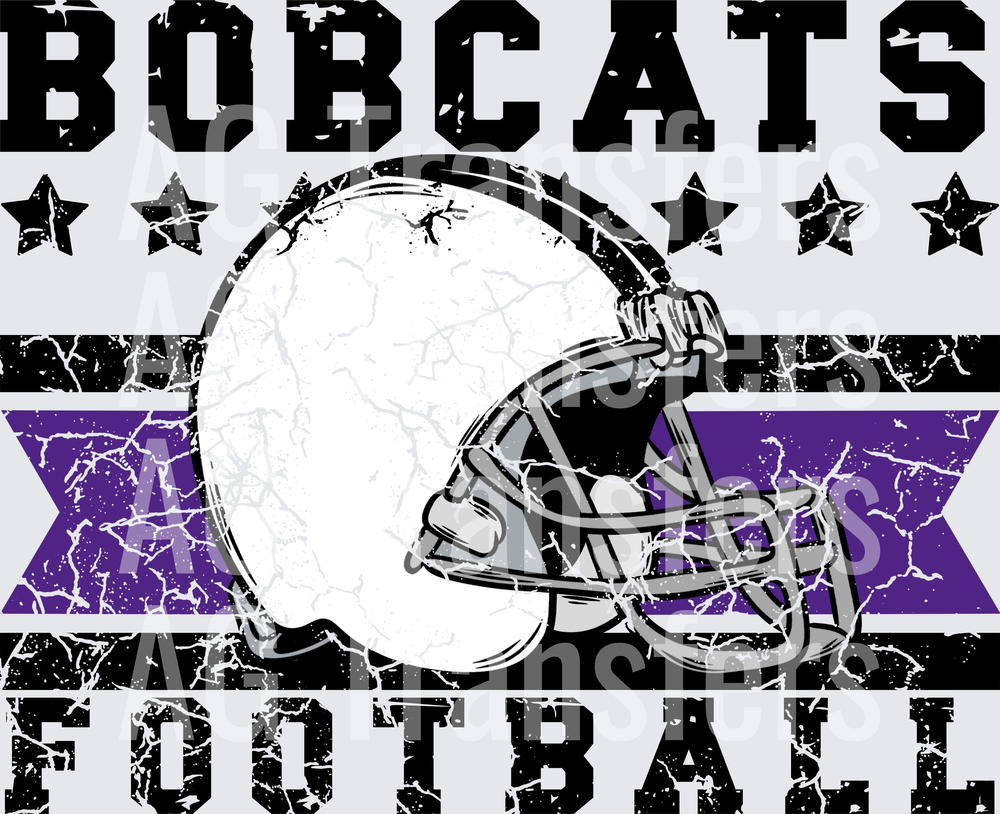 Bobcats(555)