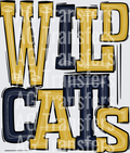 Wildcats Navy and Gold
