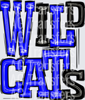Wildcats Black and Blue