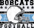 Bobcats(15)