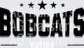 BOBCATS(272)
