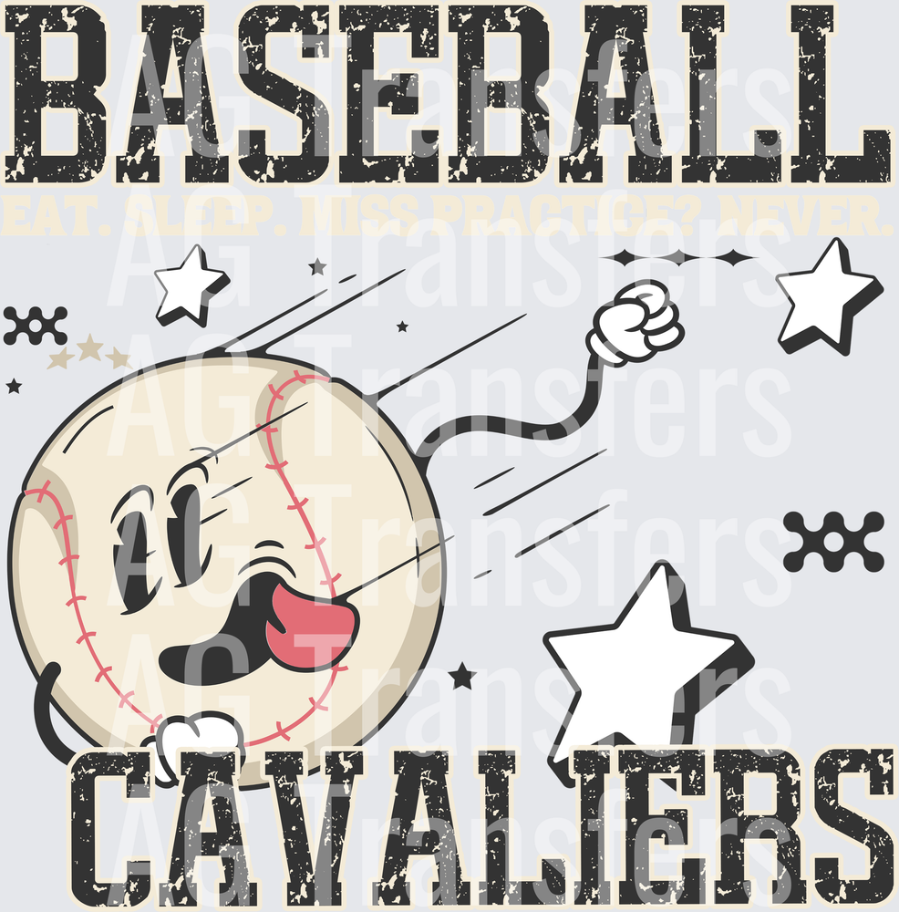 CAVALIERS(29)