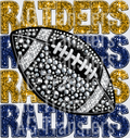 Raiders gold blue